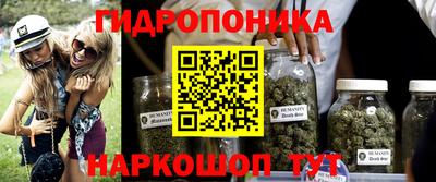 круглые Лесосибирск