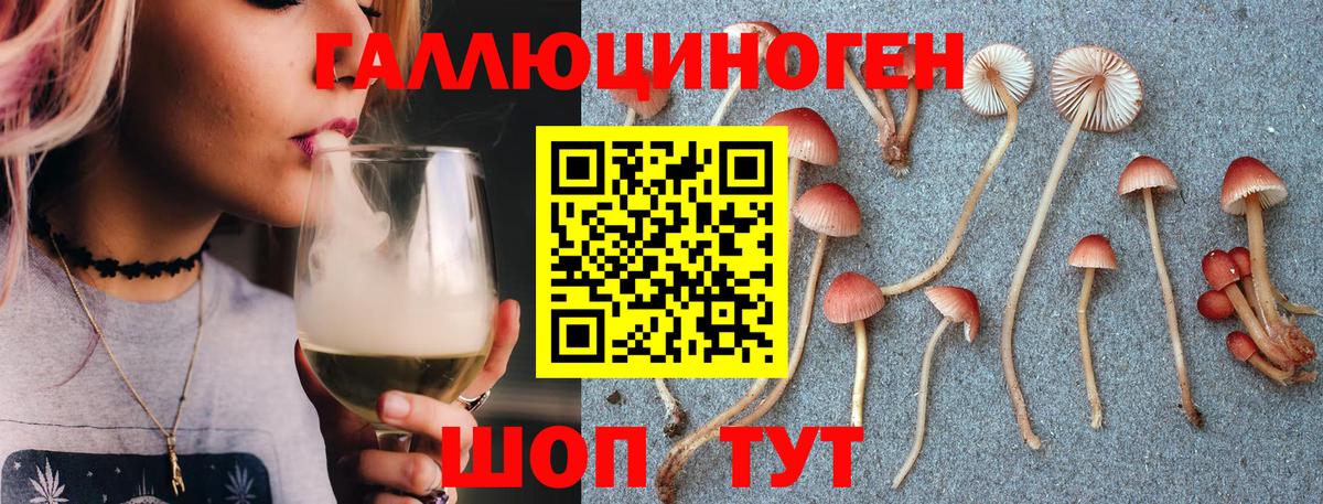 Галлюциногенные грибы GOLDEN TEACHER  Усть-Лабинск  Галлюциногенные грибы GOLDEN TEACHER 