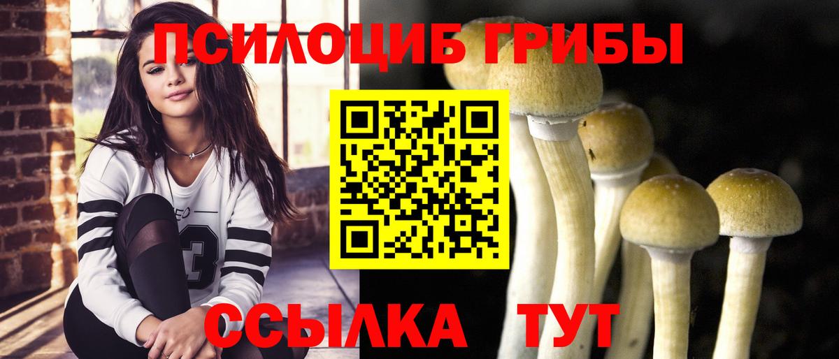 Псилоцибиновые грибы GOLDEN TEACHER Усть-Лабинск